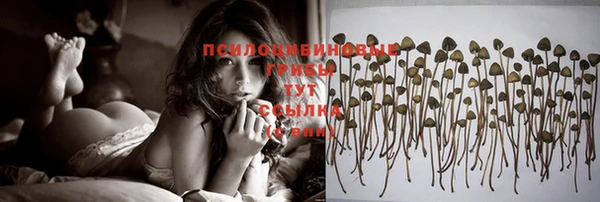 дживик Аркадак