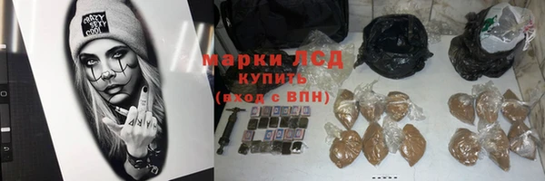 дживик Аркадак